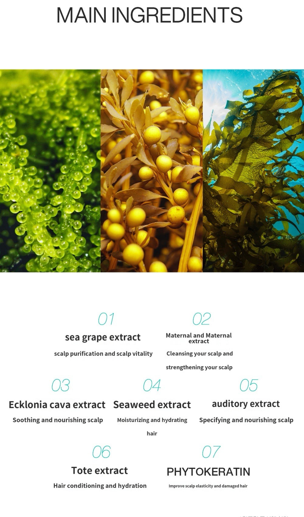 Nuvero Ocean Energy Oil Essence (55ml)