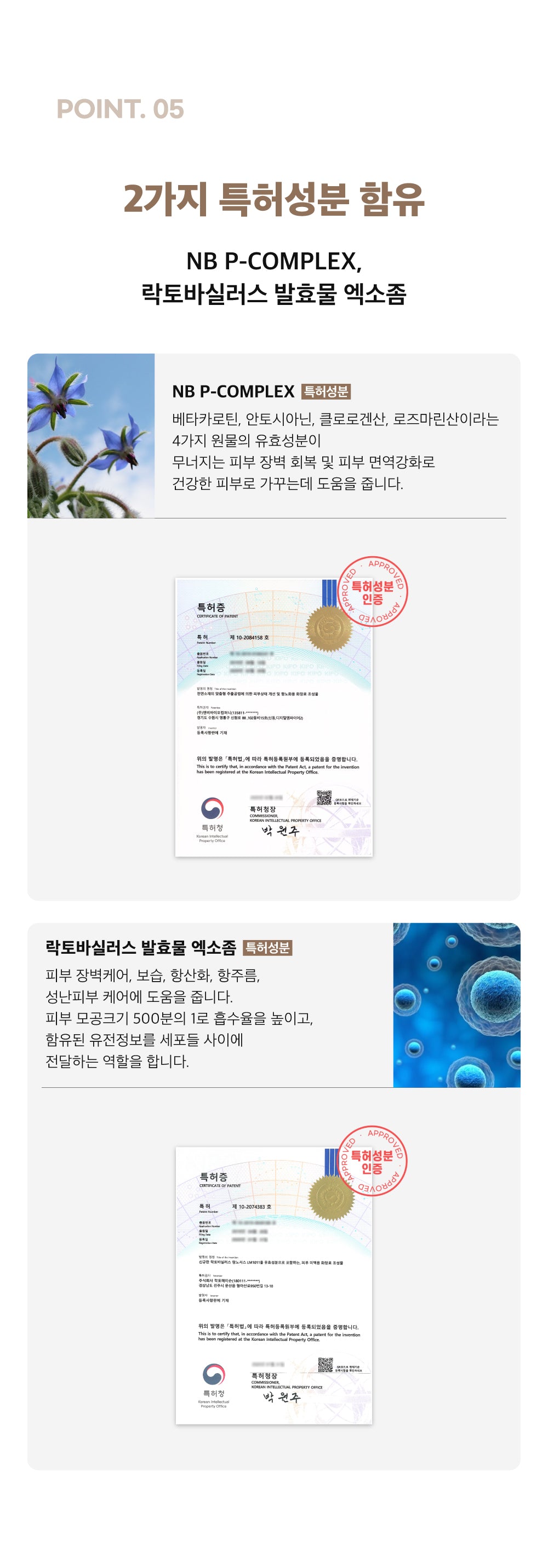 Shegaia Sea Grape Exosome Jumbo Toner Pad 300ml/50 pads