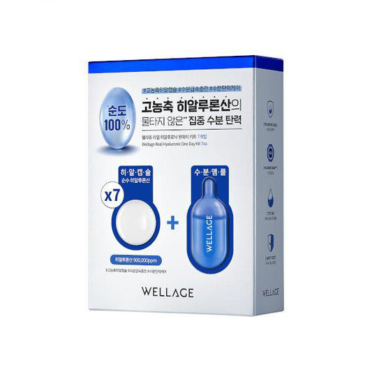 Wellage Real Hyaluronic One Day Kit Set  (7ea)