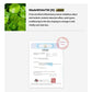 Shegaia Multivita Blanc Procedure Mask (150g)