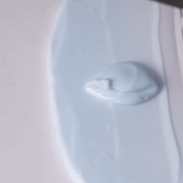 Shegaia Hyaluronic Water Shine Procedure Cream （40ml）