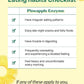 BB LAB Pineapple Enzyme 30 Sticks (30-day supply)