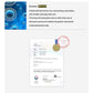 Shegaia Multivita Blanc Procedure Mask (150g)